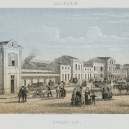 Haarlem Station 1873 litho 25x18 cm . 